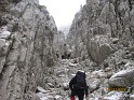 saritori_si_stancaraie